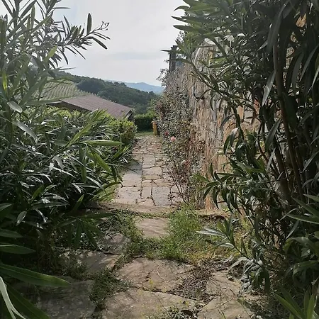 아파트 Apartma Suzy Pobegi