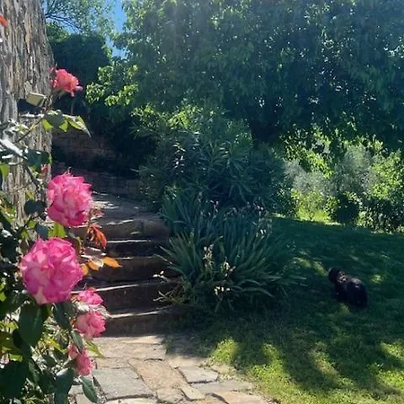 Apartma Suzy Appartement Pobegi