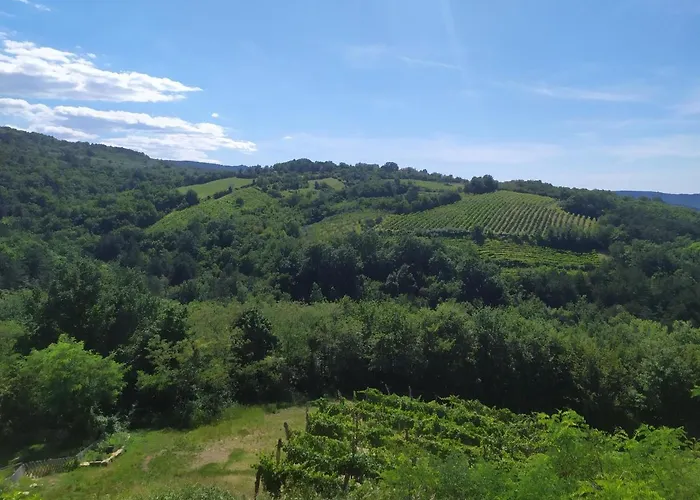 Apartma Suzy Apartmán