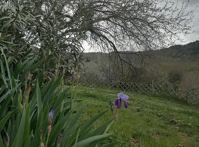 Apartma Suzy Διαμέρισμα Pobegi